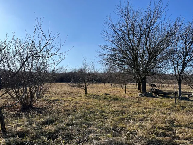 Eladó ház Mályi 6160 nm