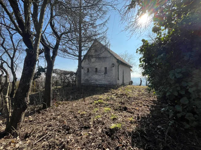 Eladó mezőgazdasági ingatlan Miskolc 30 nm