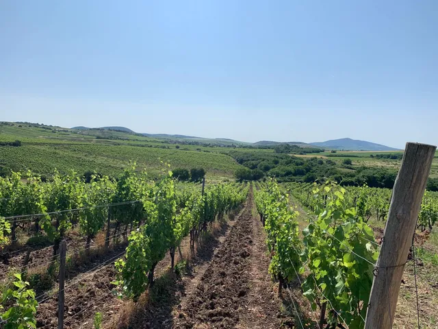 Eladó mezőgazdasági ingatlan Rátka 7158 nm