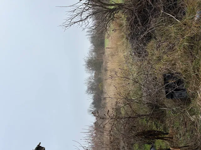 Eladó ház Tiszanána 92 nm