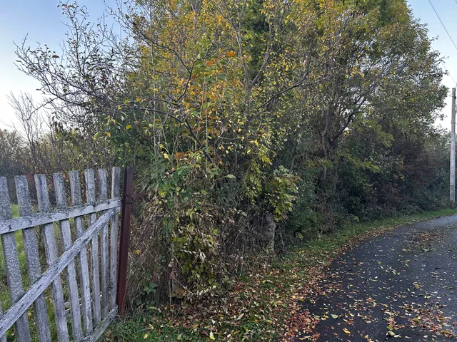 Eladó telek Telkibánya 2226 nm