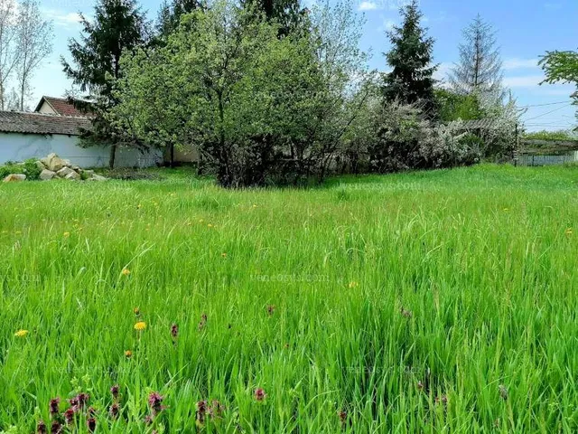 Eladó telek Poroszló 1338 nm