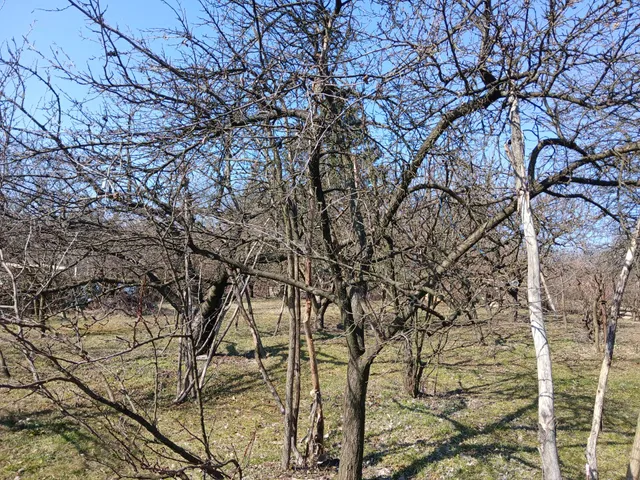 Eladó mezőgazdasági ingatlan Miskolc 20 nm