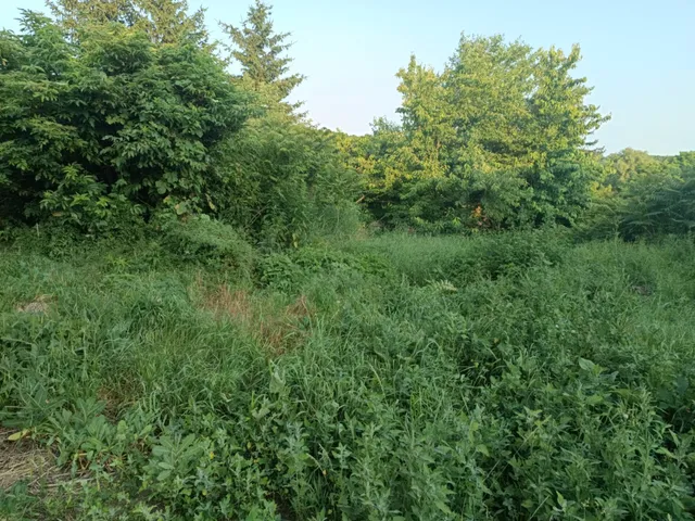 Eladó ház Olaszliszka 135 nm