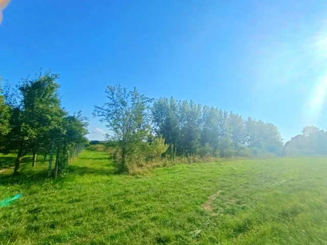 Eladó ház Sárospatak 50 nm