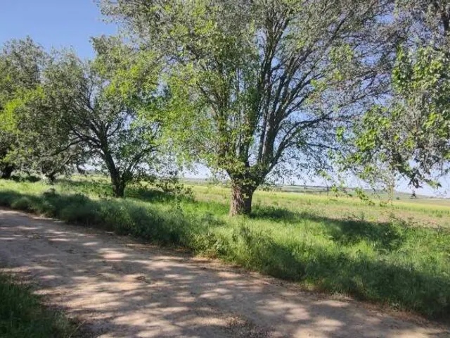 Eladó telek Sajóvámos 1169 nm