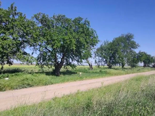 Eladó telek Sajóvámos 1169 nm