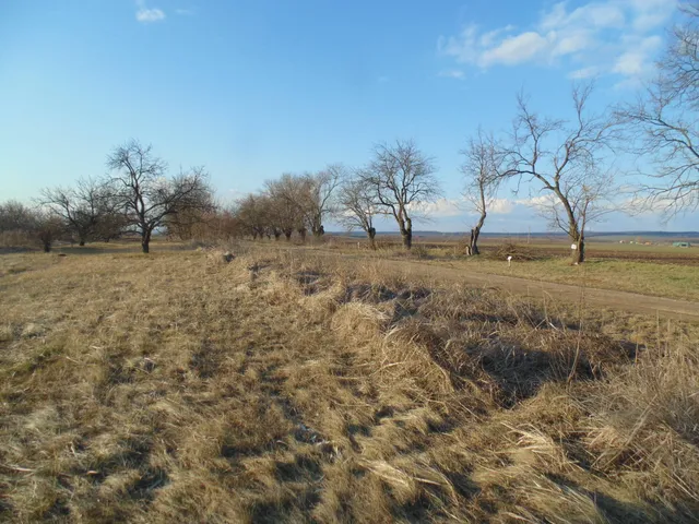 Eladó telek Sajóvámos 1169 nm