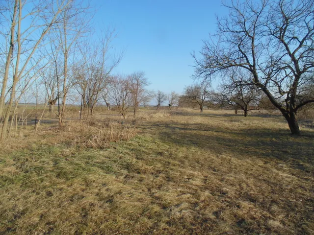 Eladó telek Sajóvámos 1169 nm