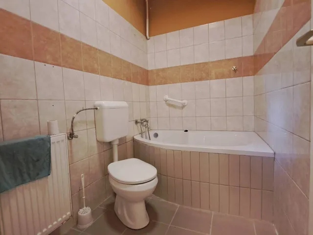 Eladó ház Vizsoly 190 nm