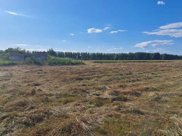 Eladó mezőgazdasági ingatlan Hernádcéce 17219 nm