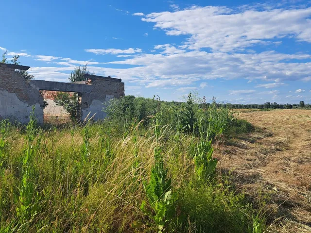 Eladó mezőgazdasági ingatlan Hernádcéce 17219 nm