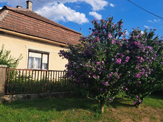 Eladó ház Vilmány 120 nm