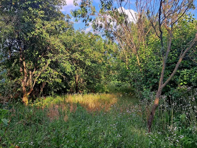 Eladó ház Vilmány 120 nm