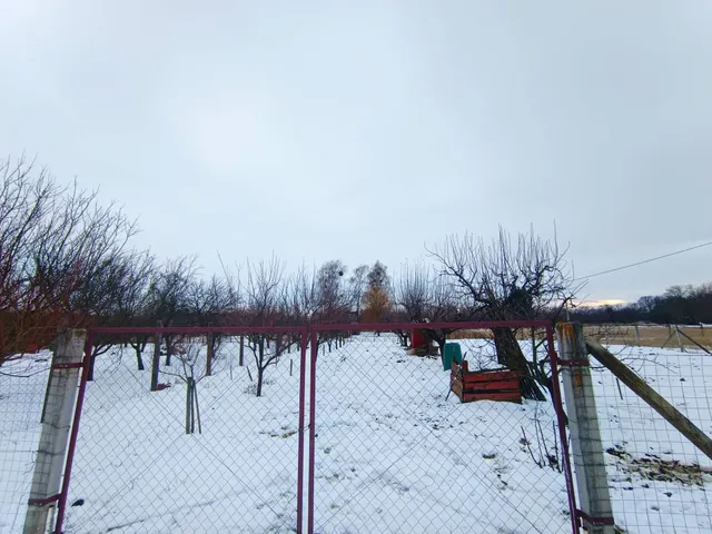 Eladó mezőgazdasági ingatlan Sárospatak 901 nm