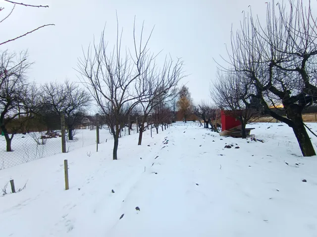 Eladó mezőgazdasági ingatlan Sárospatak 901 nm