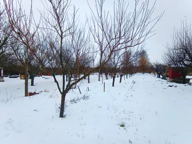 Eladó mezőgazdasági ingatlan Sárospatak 901 nm