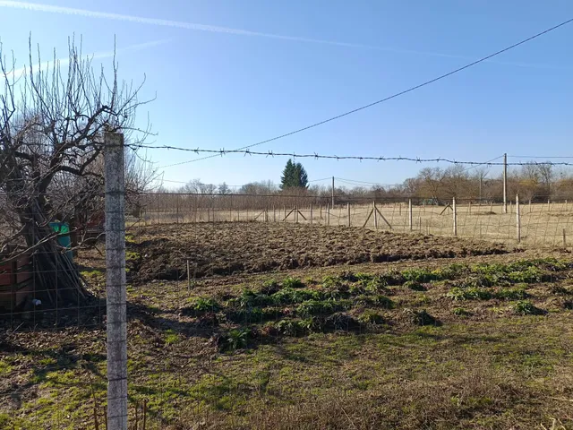 Eladó mezőgazdasági ingatlan Sárospatak 901 nm