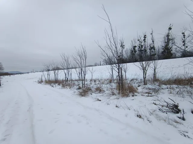 Eladó mezőgazdasági ingatlan Sárospatak 633 nm