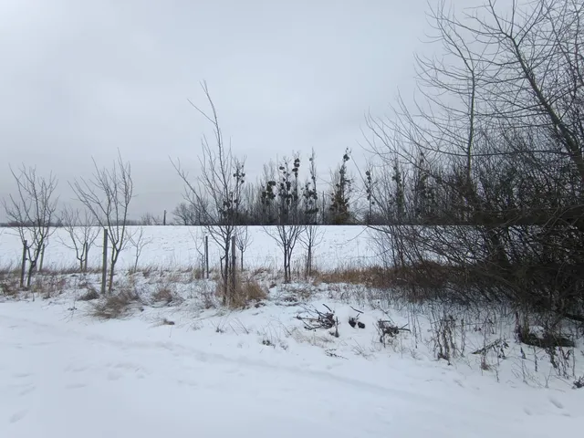 Eladó mezőgazdasági ingatlan Sárospatak 633 nm