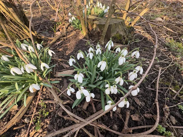 Eladó ház Szikszó 220 nm