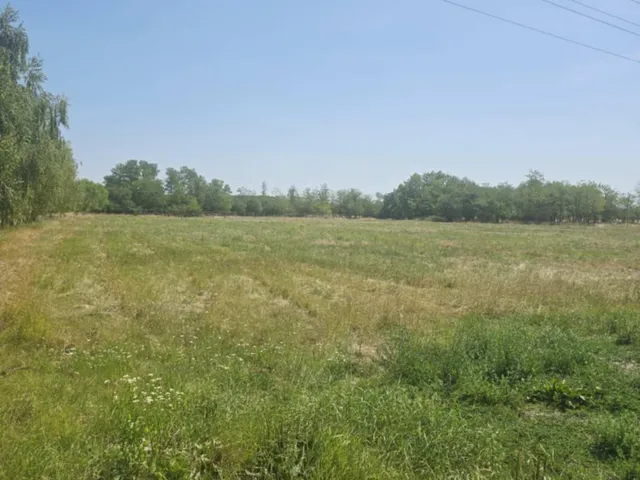 Eladó mezőgazdasági ingatlan Mosonmagyaróvár 880 nm