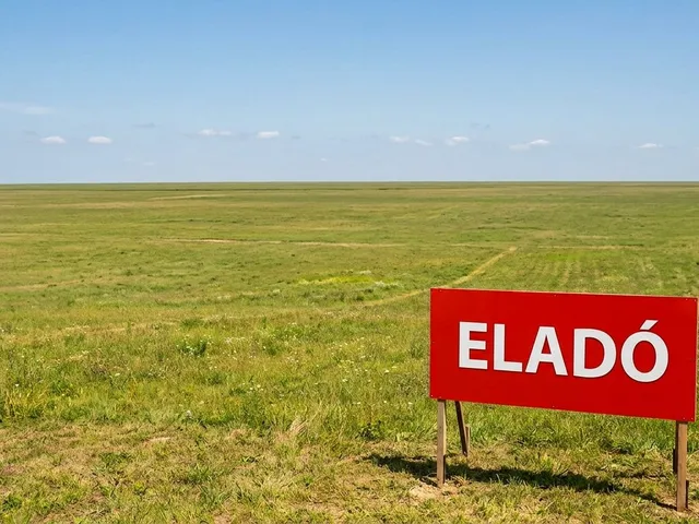 Eladó telek Feketeerdő 870 nm