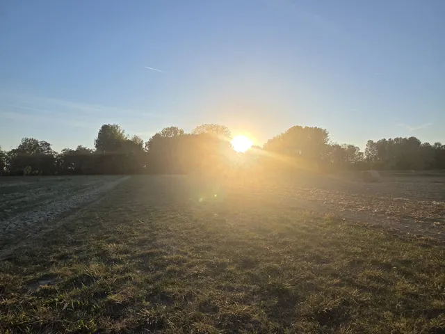 Eladó telek Dunasziget, Sérfenyősziget 4884 nm