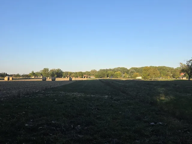 Eladó telek Dunasziget, Sérfenyősziget 4884 nm