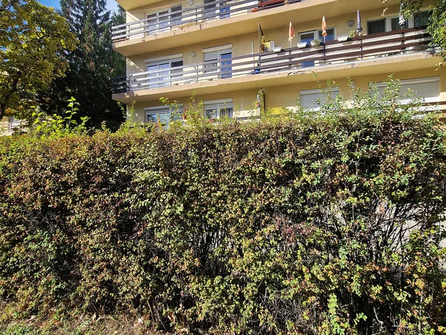 Eladó lakás Siófok 38 nm