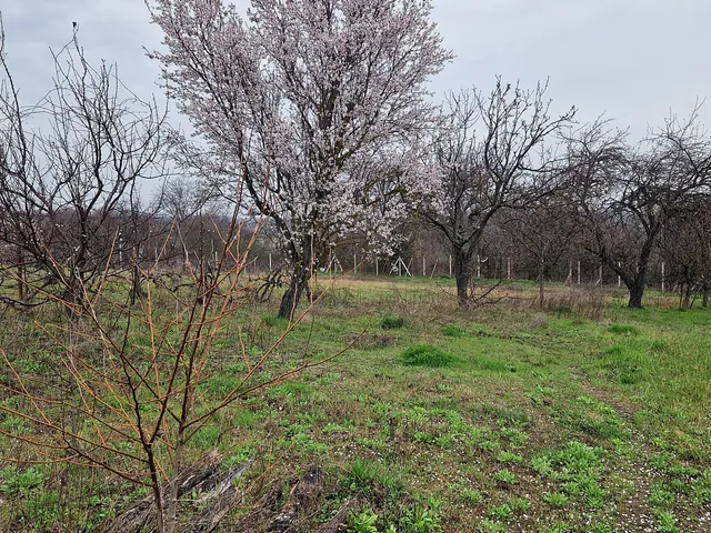 Eladó telek Lepsény 1871 nm