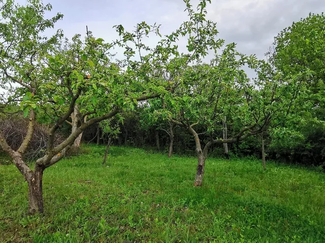 Eladó üdülő és hétvégi ház Várvölgy 55 nm