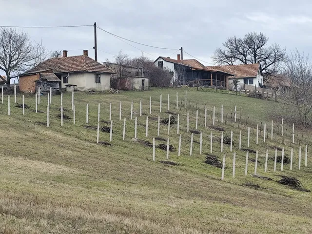 Eladó üdülő és hétvégi ház Zalaszabar 40 nm