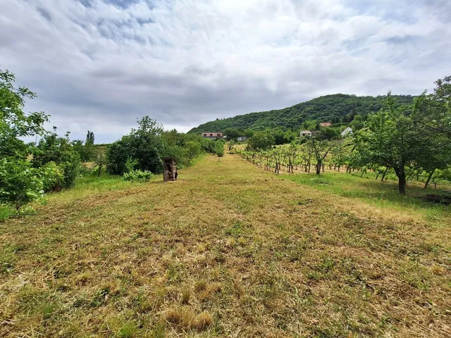Eladó nyaraló Somlószőlős 18 nm