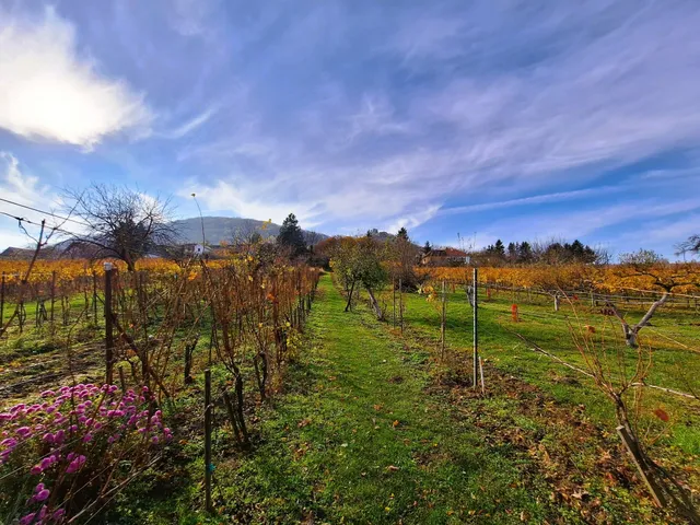 Eladó üdülő és hétvégi ház Doba 50 nm