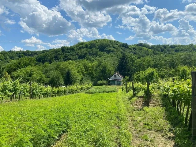 Eladó üdülő és hétvégi ház Zalaszentgrót 45 nm