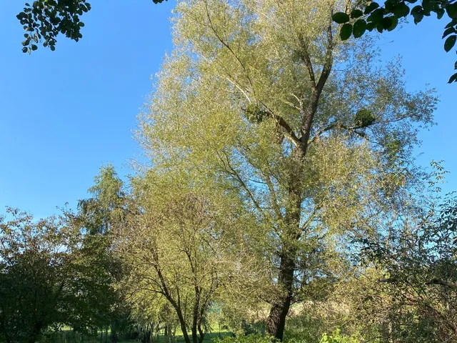 Eladó ház Bezeréd 120 nm