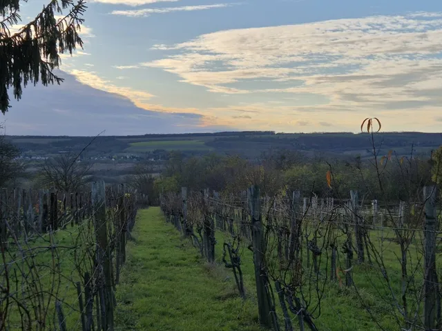Eladó üdülő és hétvégi ház Szentgyörgyvár 35 nm