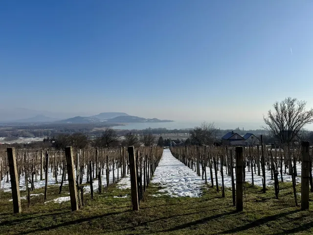 Eladó üdülő és hétvégi ház Balatonederics 84 nm