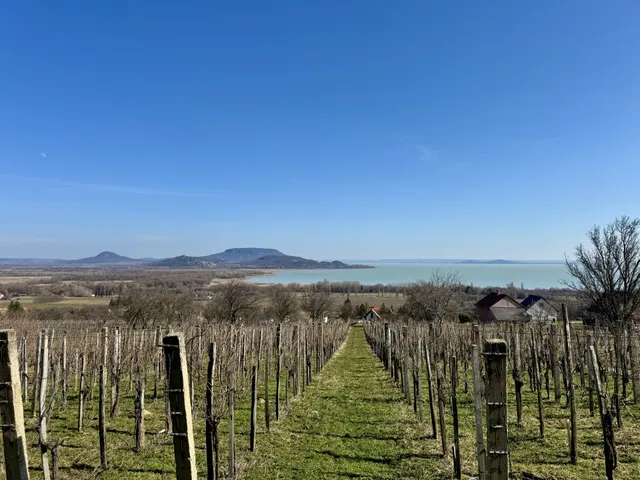 Eladó üdülő és hétvégi ház Balatonederics 84 nm