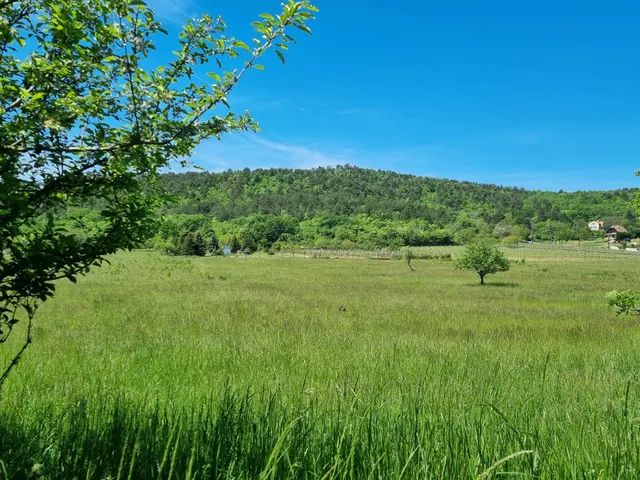 Eladó telek Balatongyörök 2000 nm