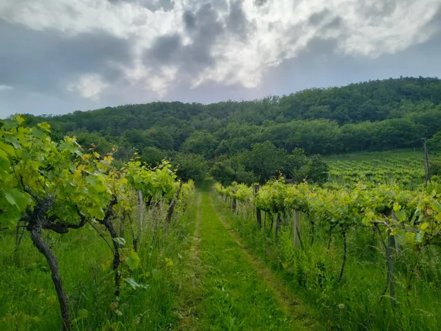 Eladó üdülő és hétvégi ház Zalaszentgrót 20 nm