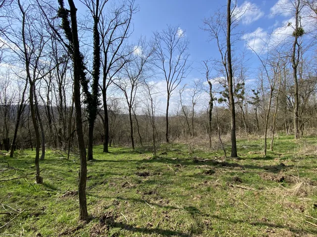 Eladó telek Zalacsány 3560 nm