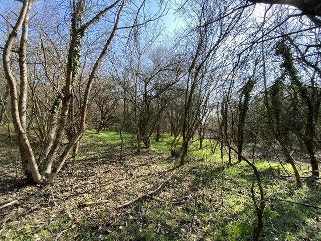 Eladó telek Zalacsány, Örvényeshegy 3560 nm