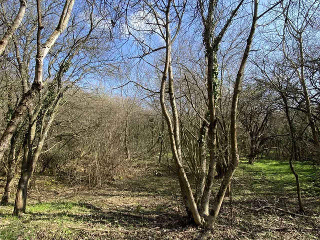 Eladó telek Zalacsány, Örvényeshegy 3560 nm