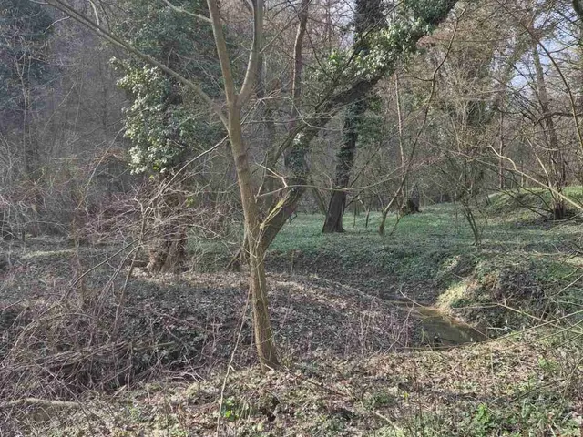 Eladó telek Zalacsány 205084 nm