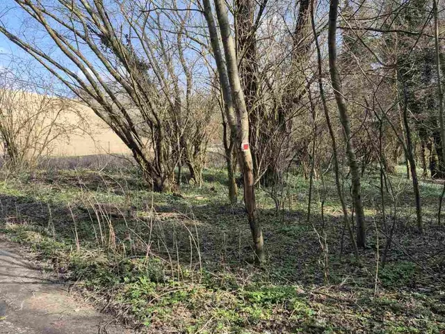 Eladó telek Zalacsány 205084 nm