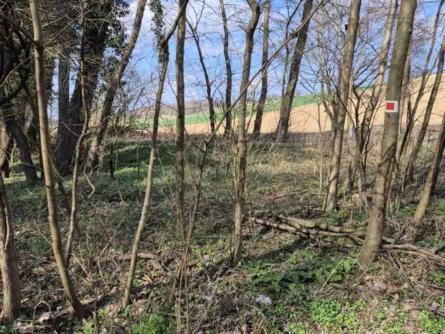 Eladó telek Zalacsány 205084 nm