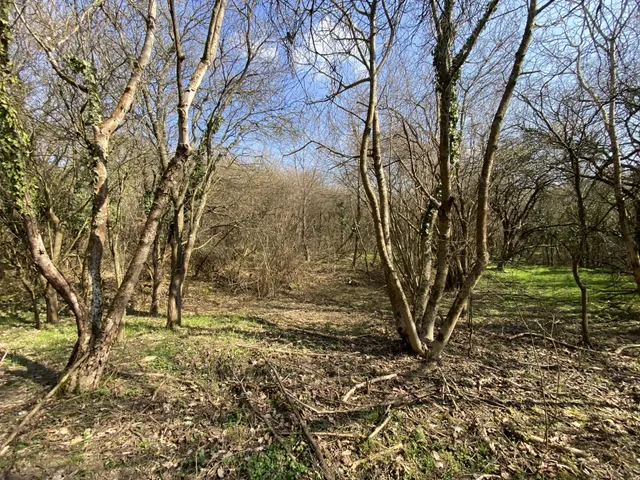 Eladó telek Zalacsány, Örvényeshegy 3359 nm