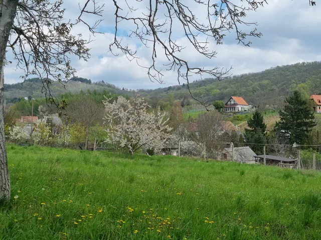 Eladó üdülő és hétvégi ház Rezi 32 nm